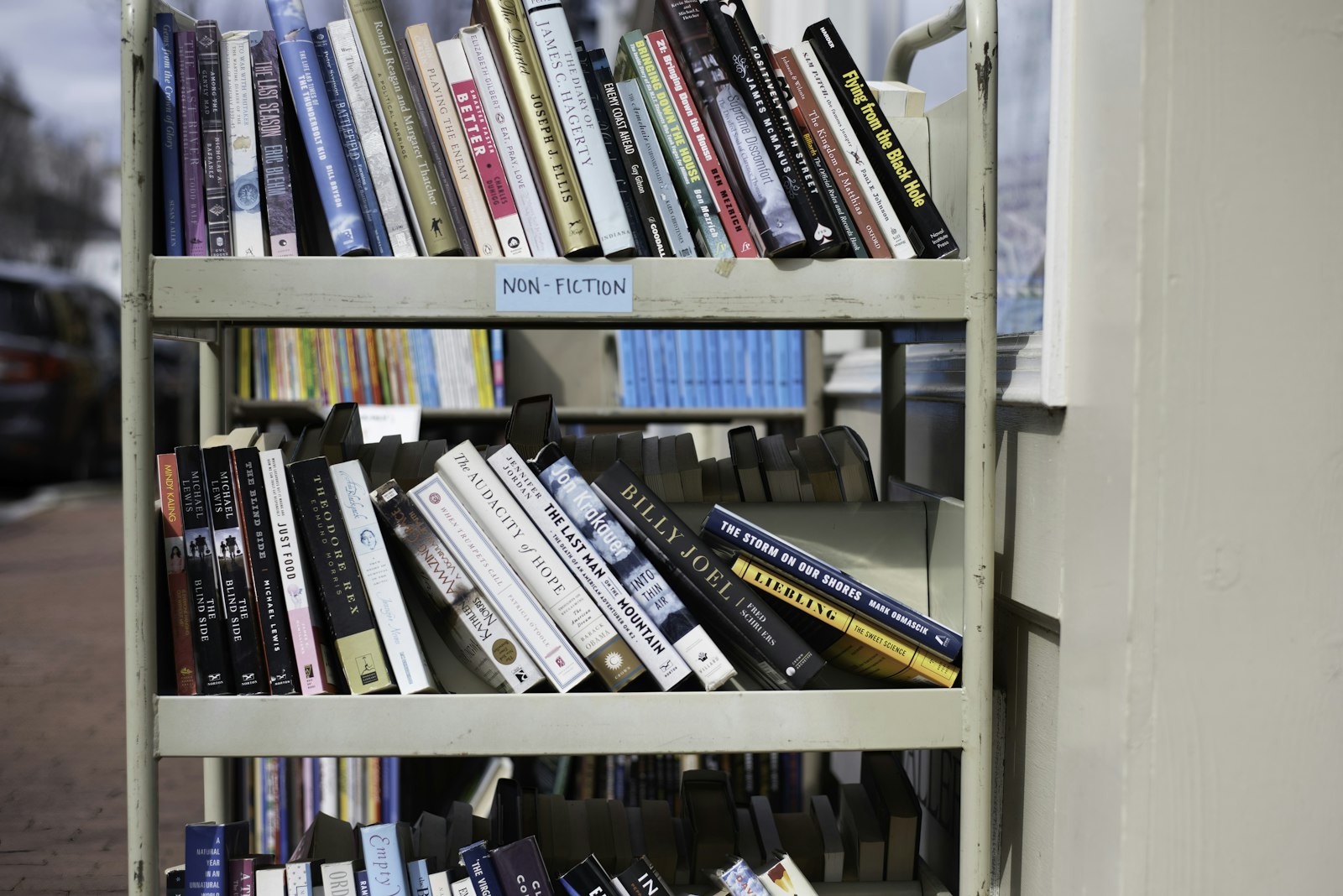 Volles Bücherregal